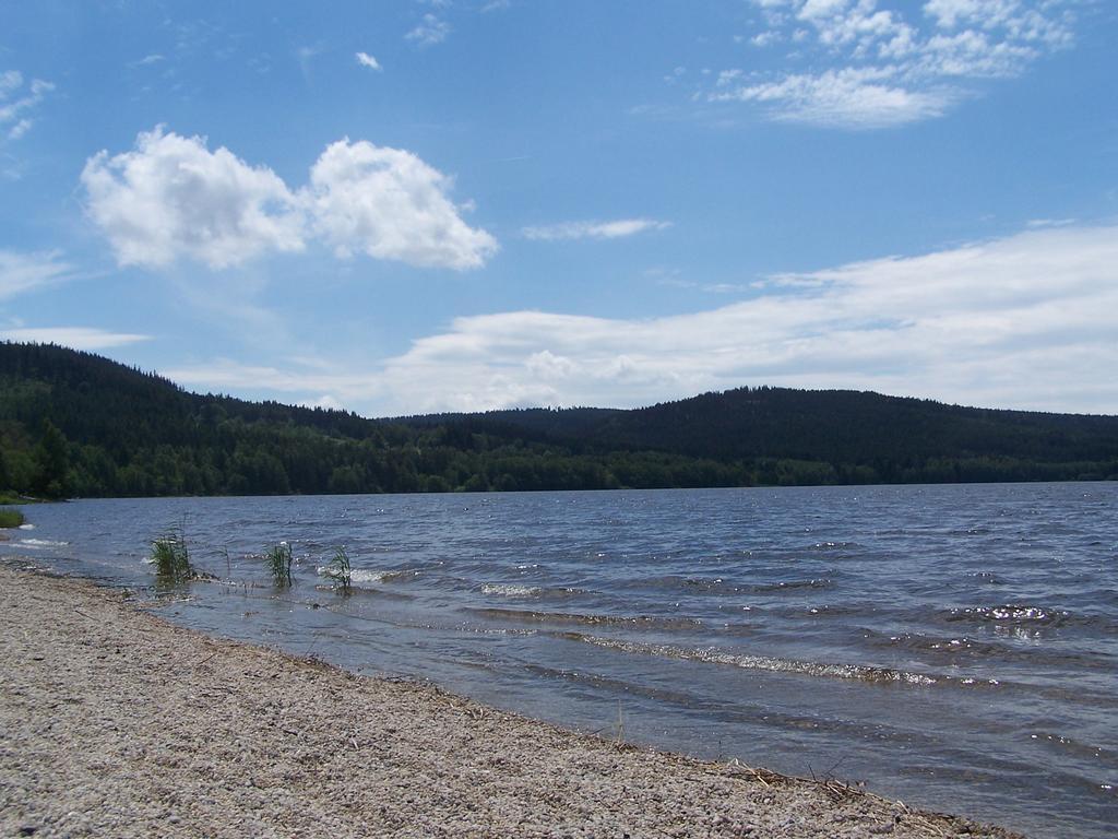 Apartment Lipno Lipno nad Vltavou Kültér fotó