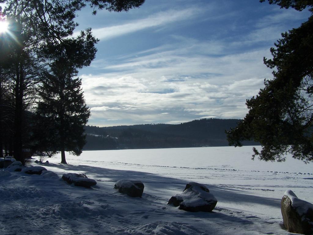 Apartment Lipno Lipno nad Vltavou Kültér fotó